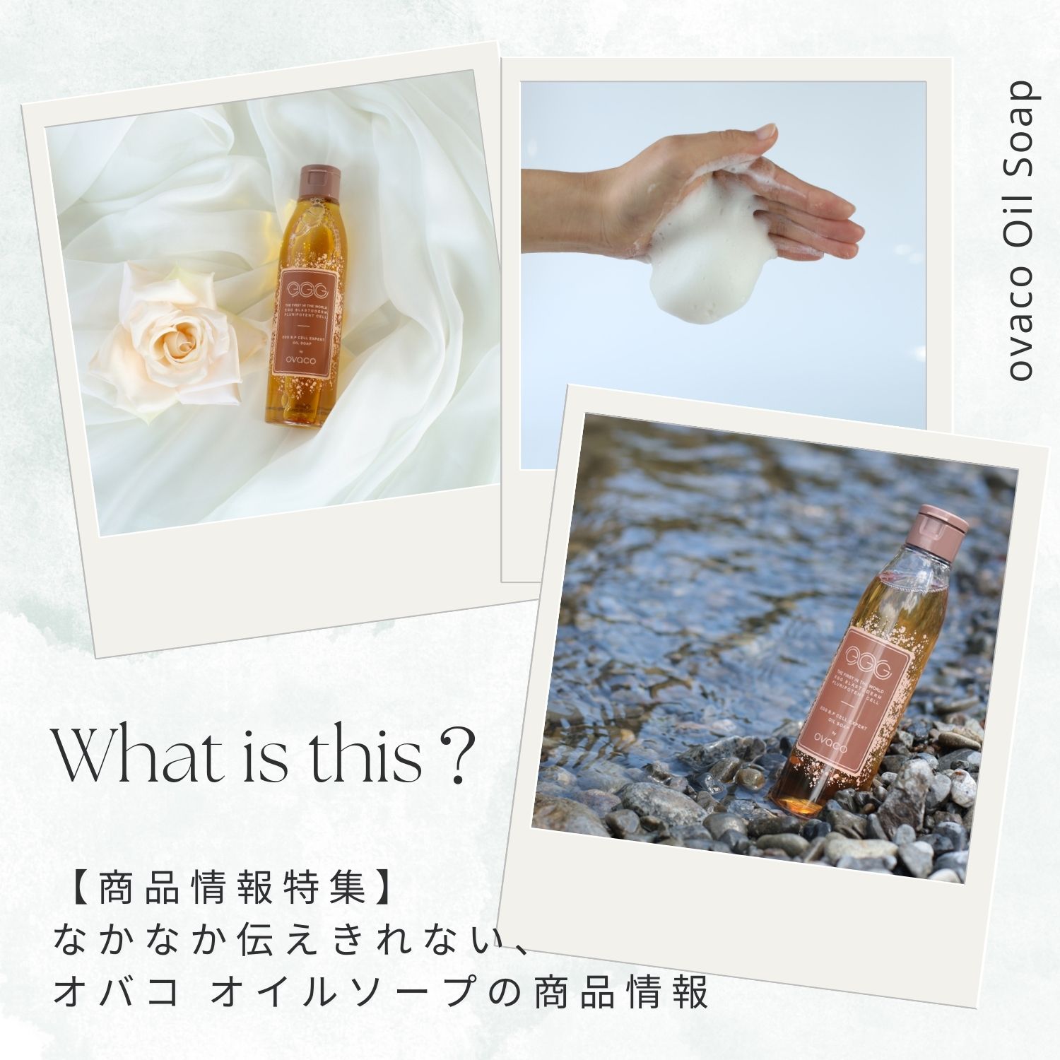 商品紹介】オバコオイルソープって、どんな商品？ - ovaco