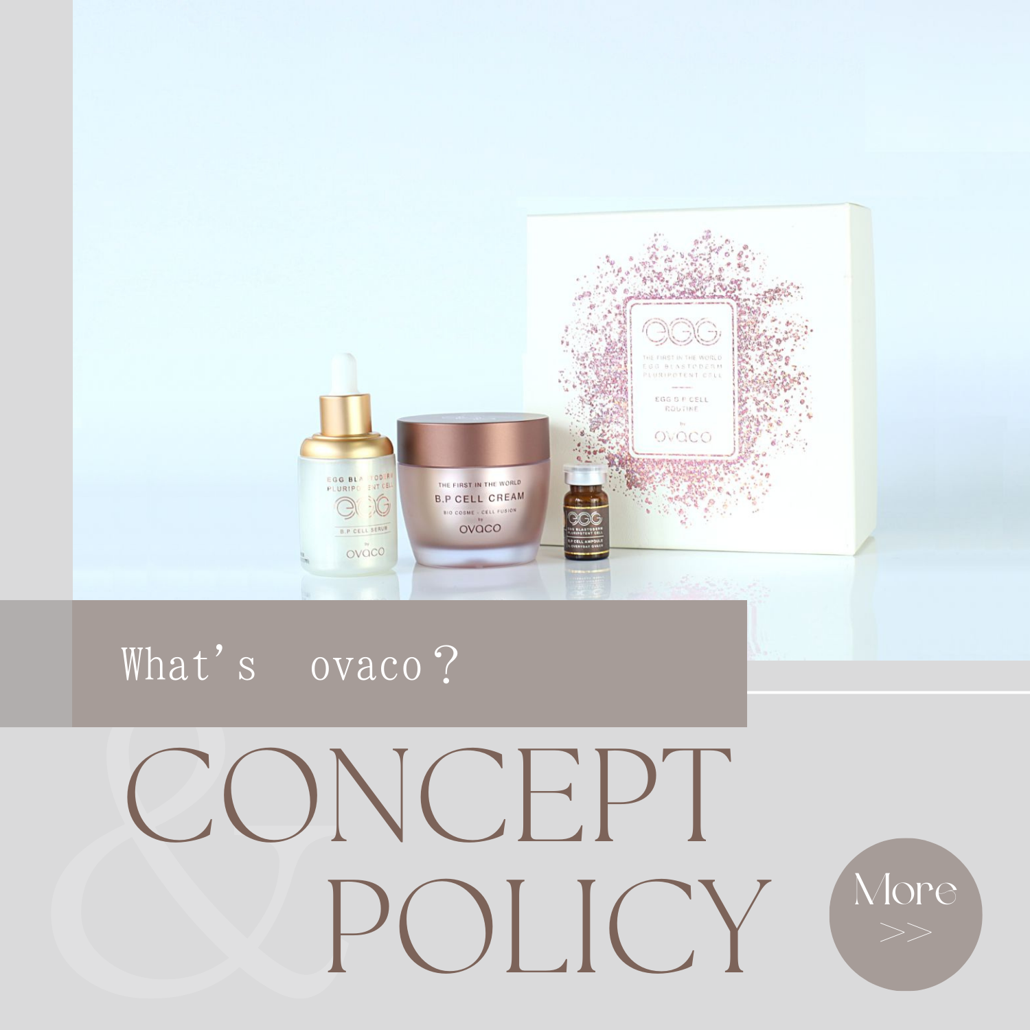 ovacoはどんなブランド？ - ovaco（オバコ化粧品）【株式会社エスター】